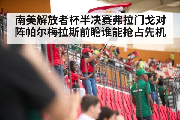soccer stadium crowd